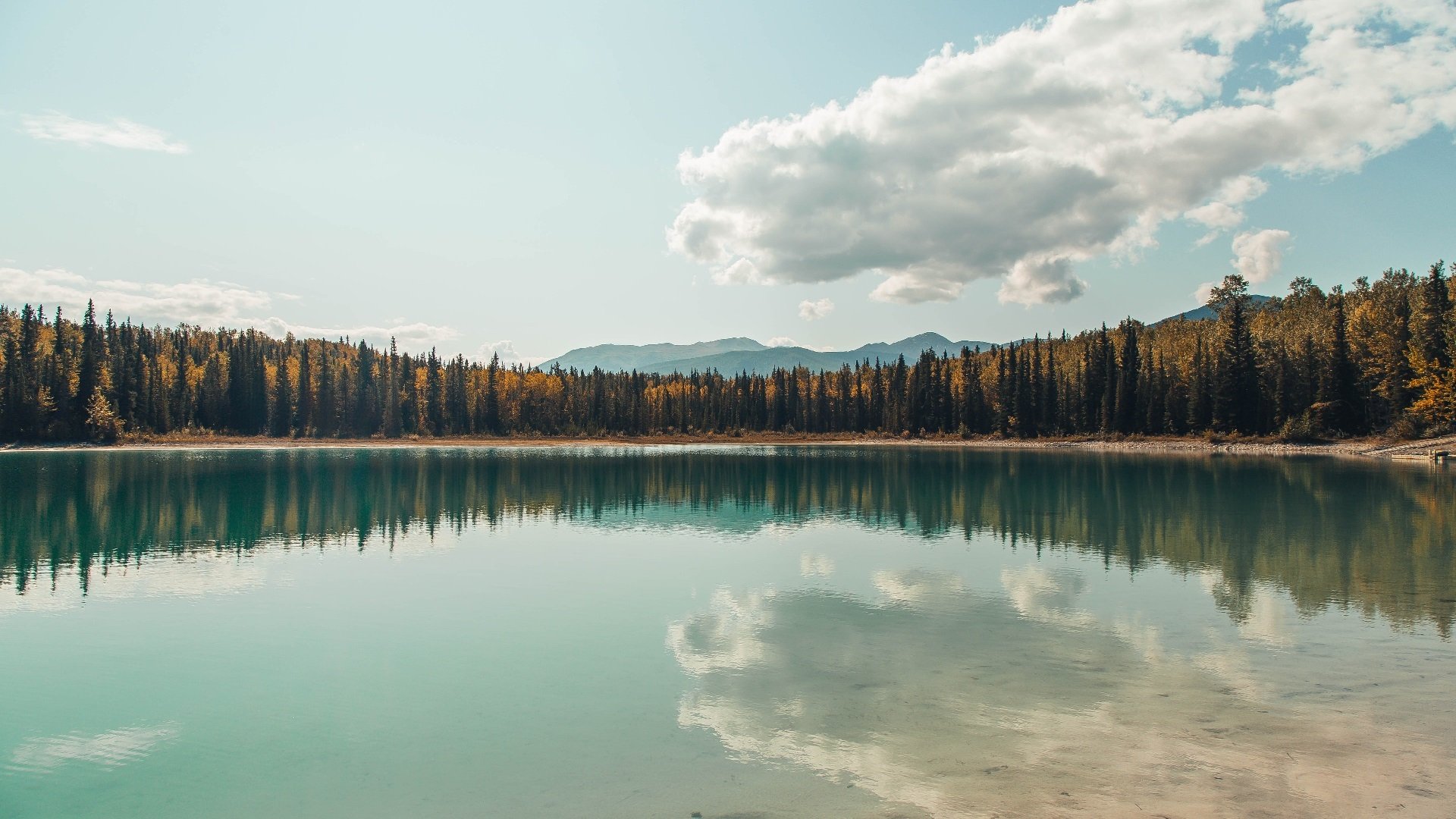 开云kaiyun-【奥沙利文】绝技揭秘：一绝击球在比赛中的关键作用，奥沙利文单手比赛视频